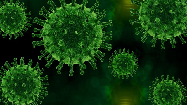 Virus